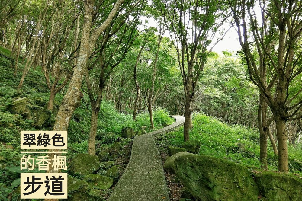 石門水庫(石門ダム)