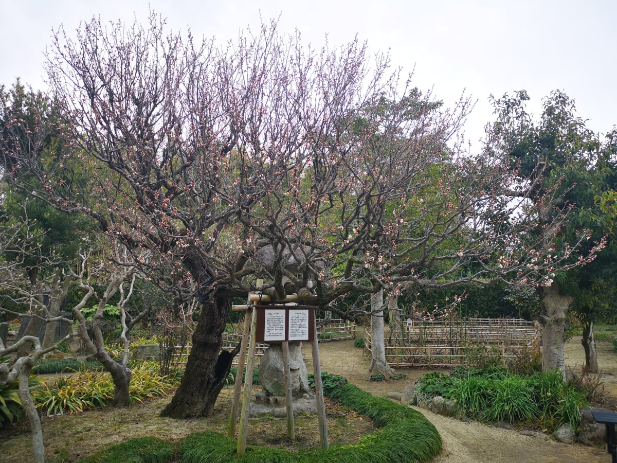 荒尾市宮崎兄弟資料館の写真 ©漱石の猫(CC BY-SA 4.0)