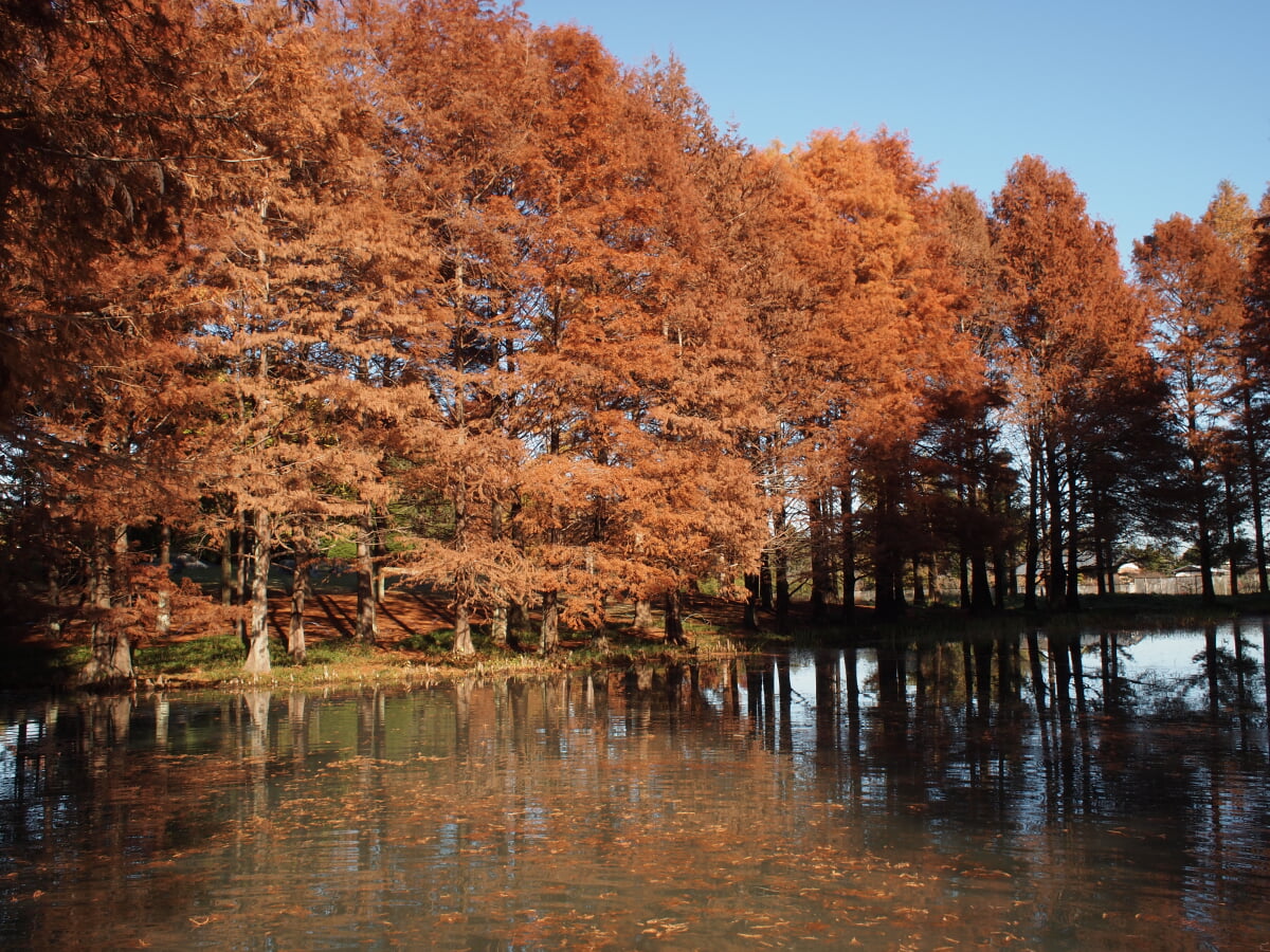 水戸市植物公園の写真 ©Takashi.koike(CC BY 3.0)