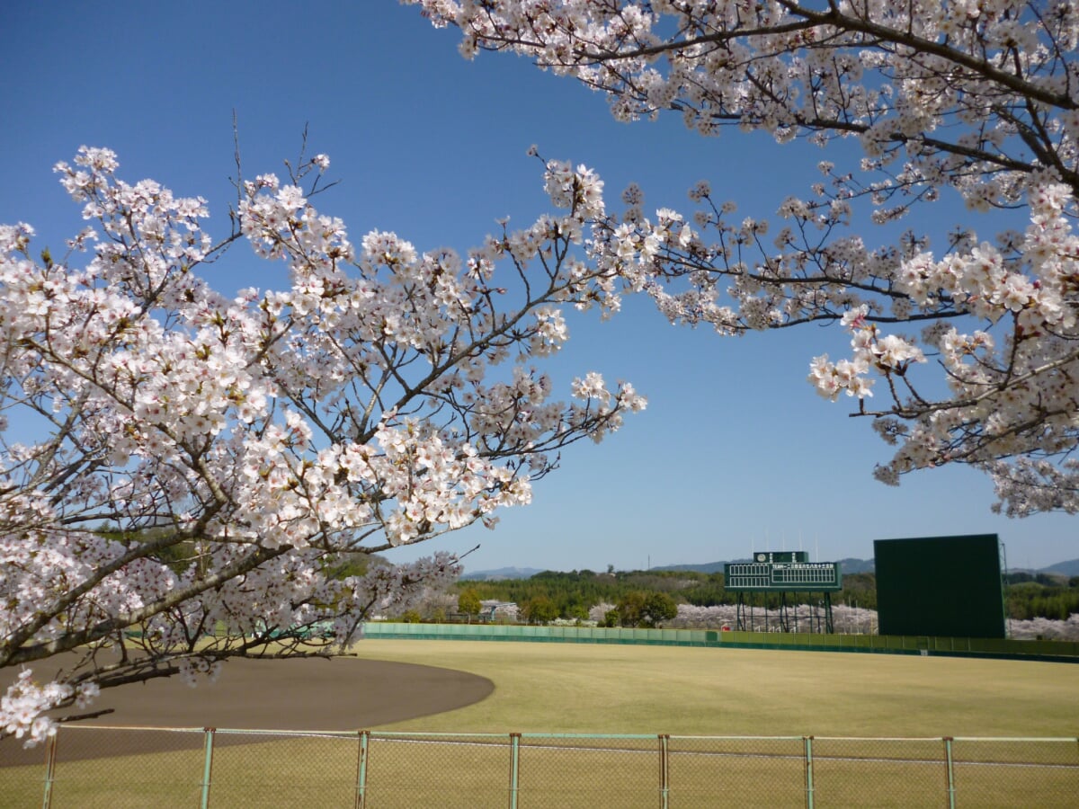 上野公園の写真 