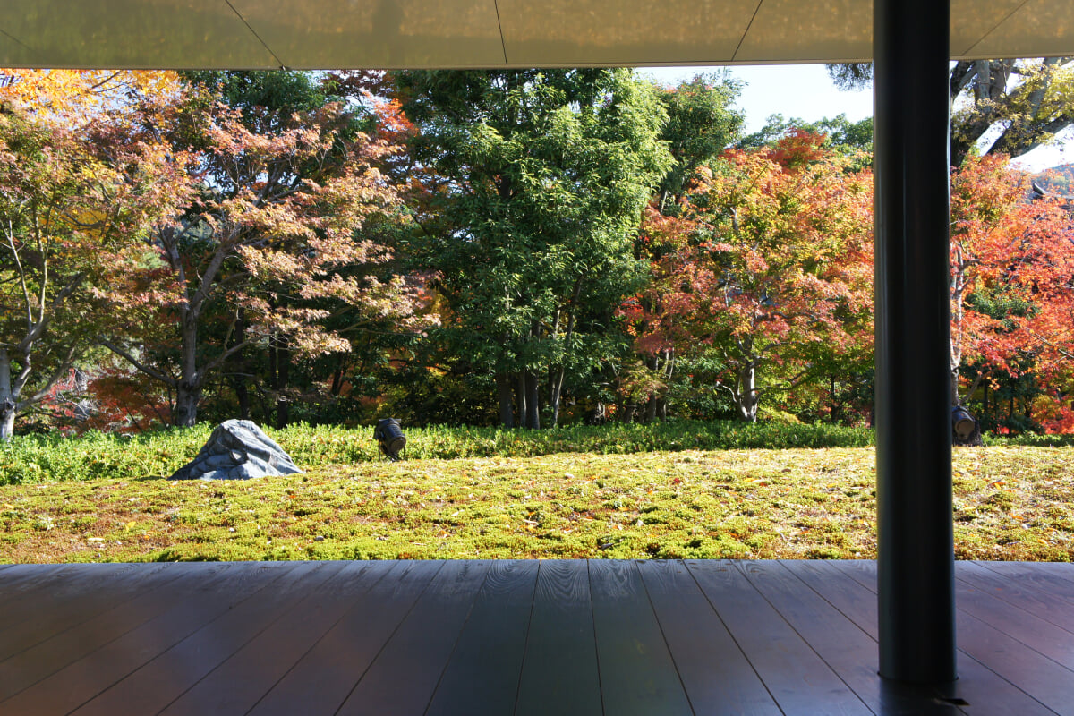 平等院ミュージアム鳳翔館の写真 ©663highland(CC BY-SA 3.0)