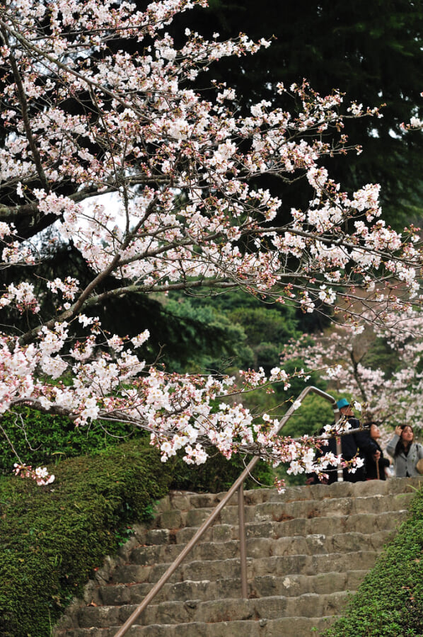 発心公園の写真 ©gtknj(CC BY 2.0)
