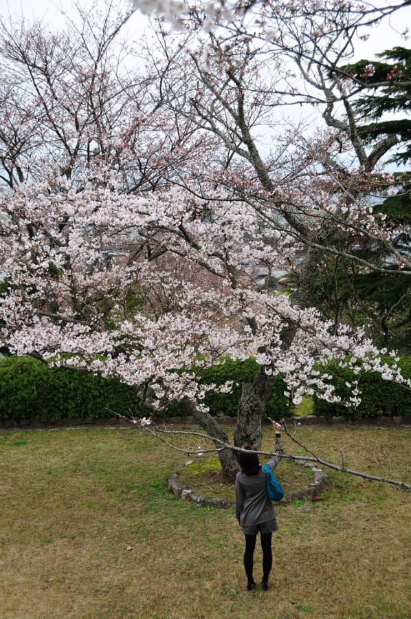 発心公園の写真 ©gtknj(CC BY 2.0)