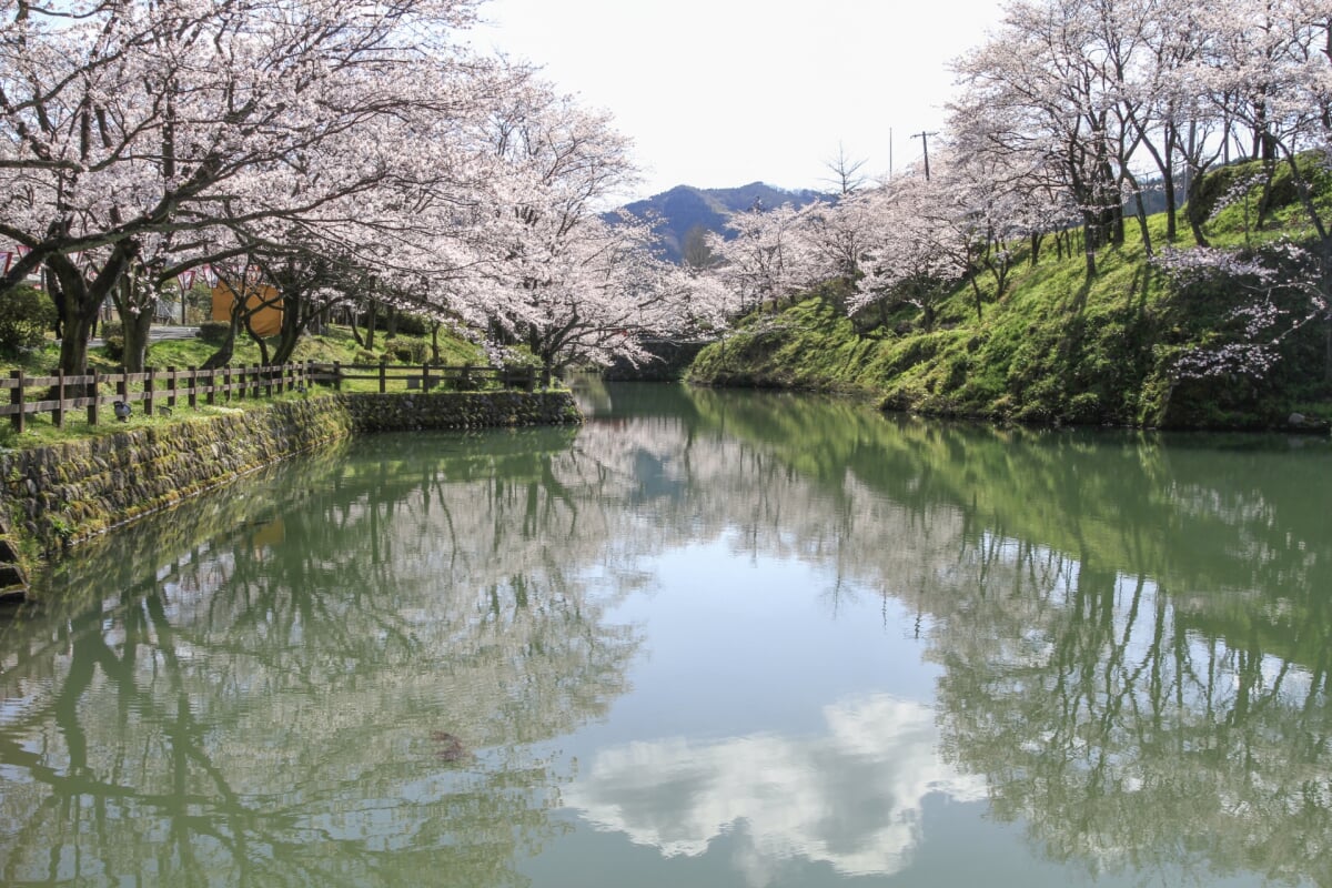 鹿野城跡公園の写真 