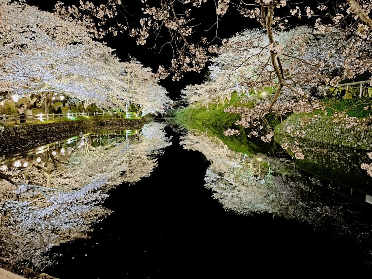 鹿野城跡公園の写真 