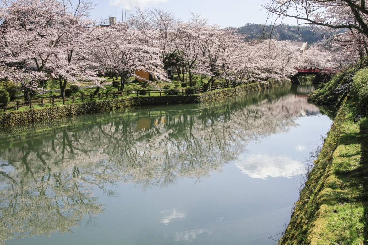 鹿野城跡公園の写真 