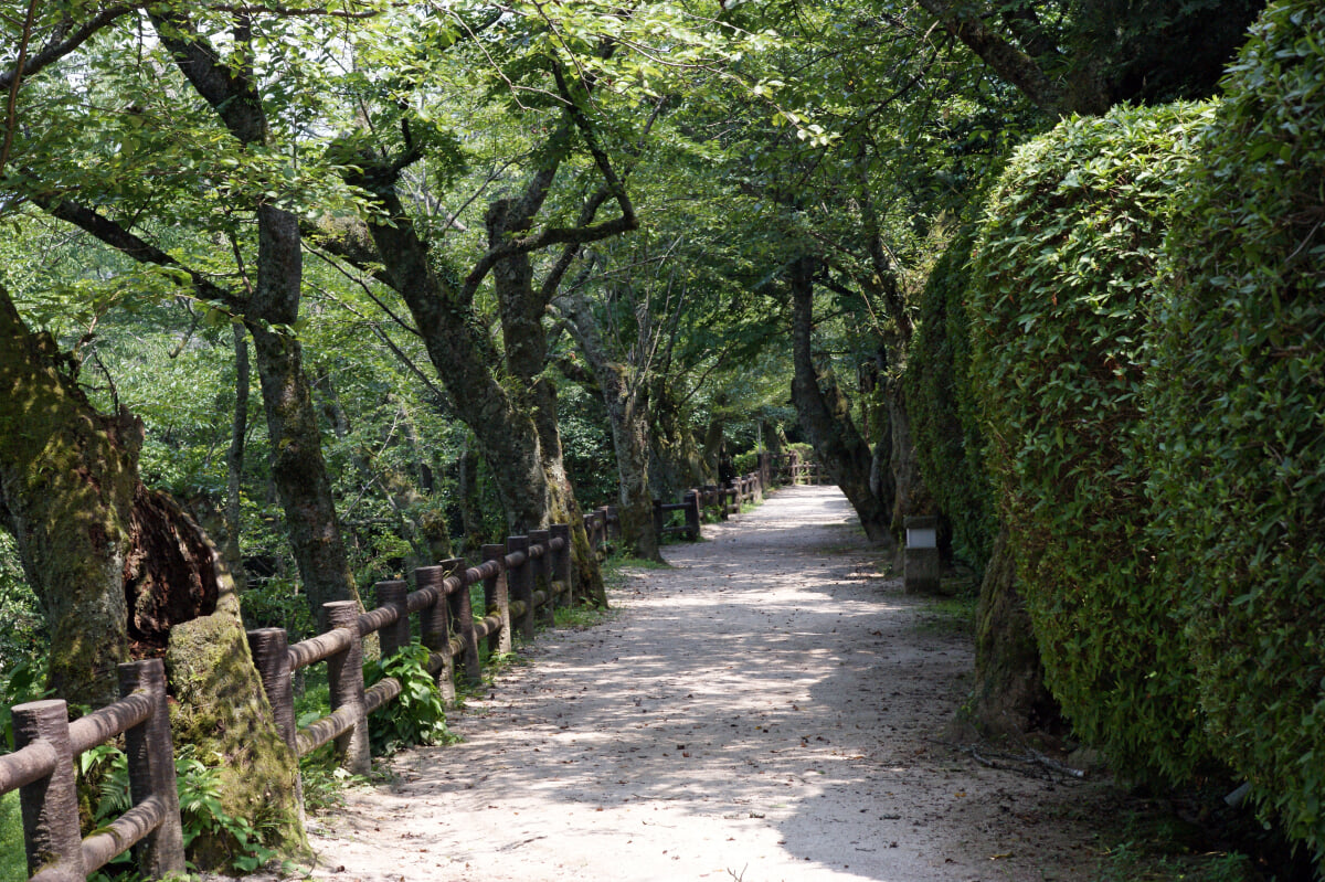打吹公園の写真 ©663highland(CC BY-SA 3.0)