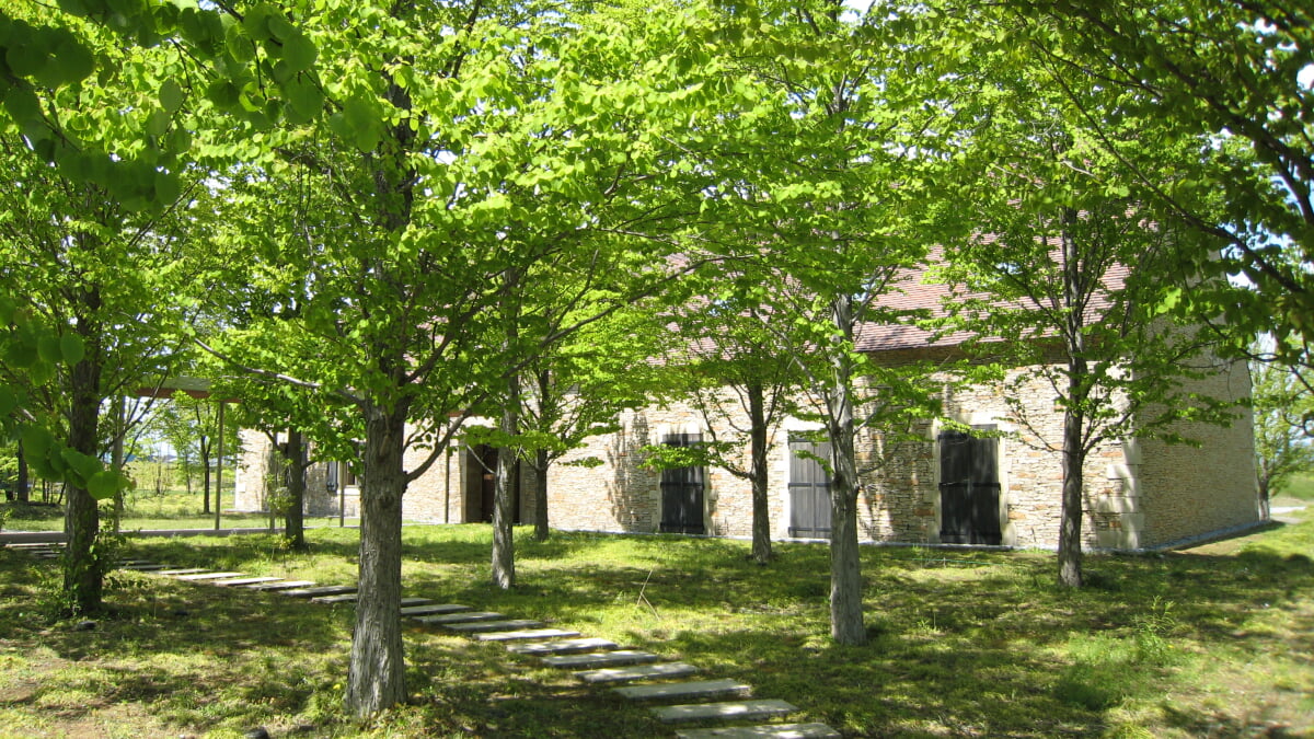 群馬県立館林美術館の写真 ©taketarou(CC BY-SA 3.0)