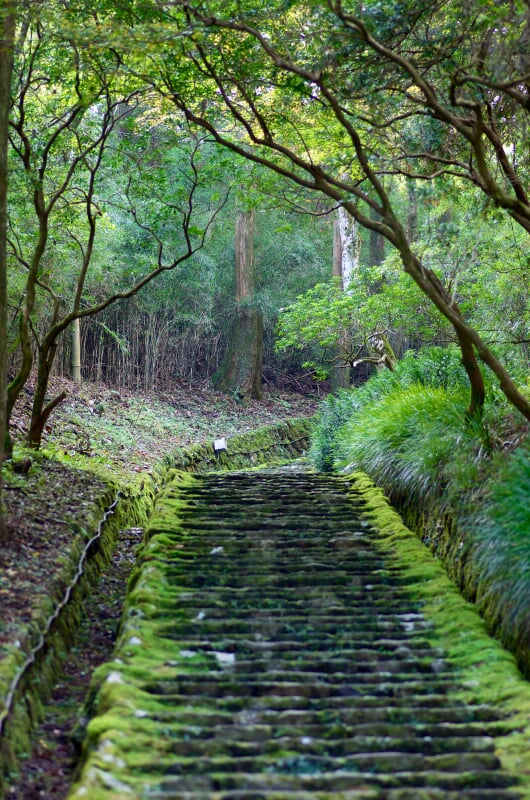 恩賜箱根公園の写真 ©FoxyStranger Kawasaki(CC BY-SA 3.0)