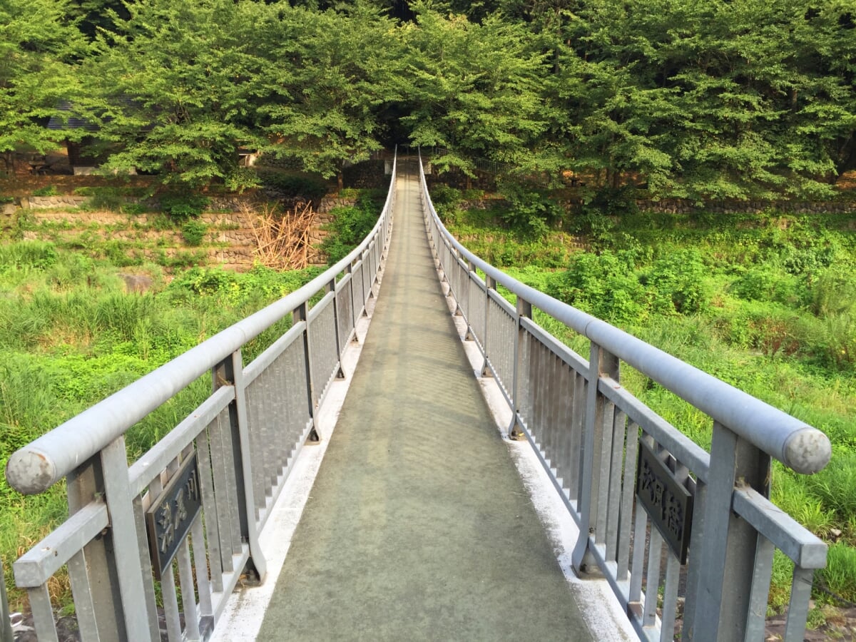 沼尾川親水公園の写真 