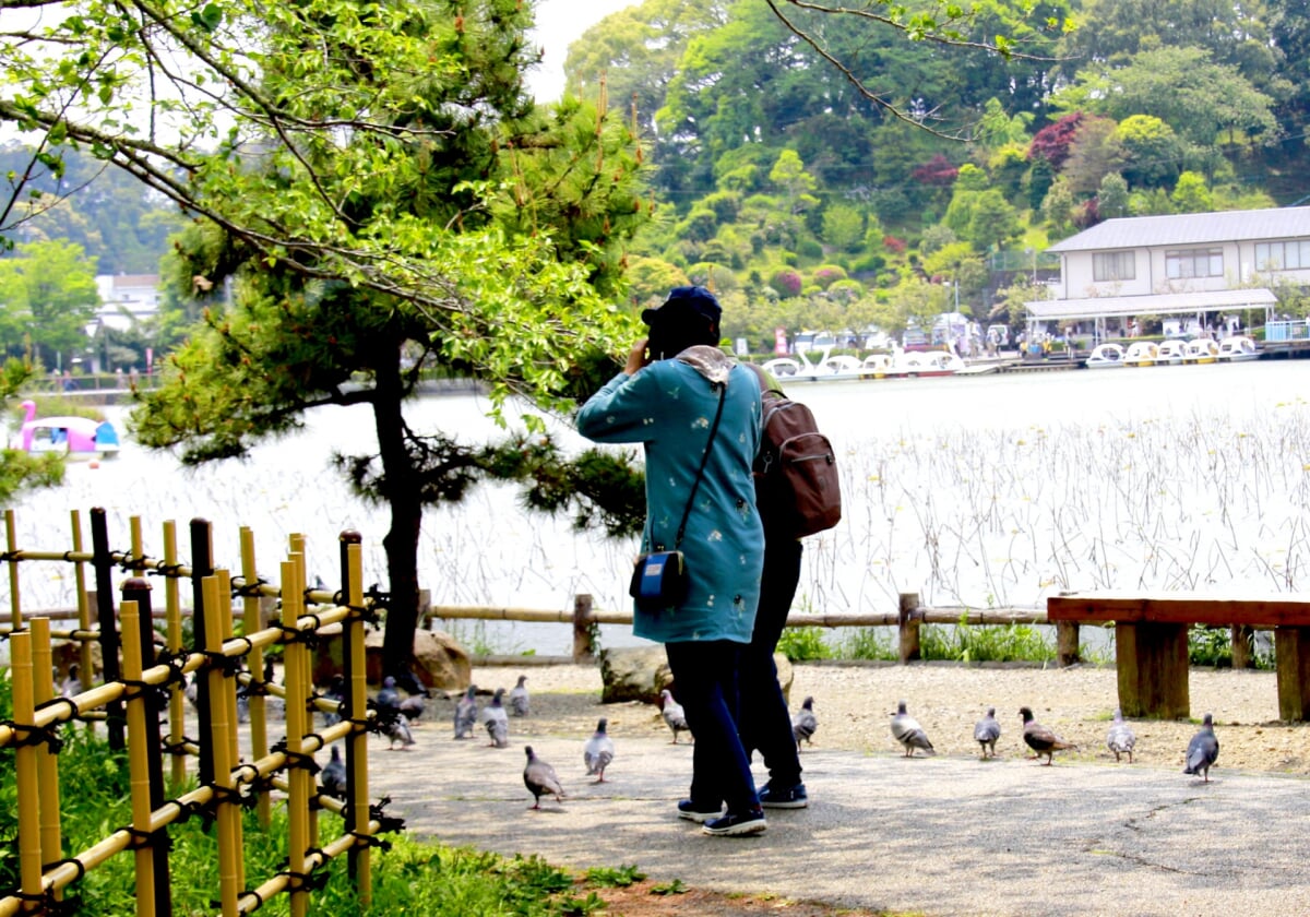 蓮池公園の写真 