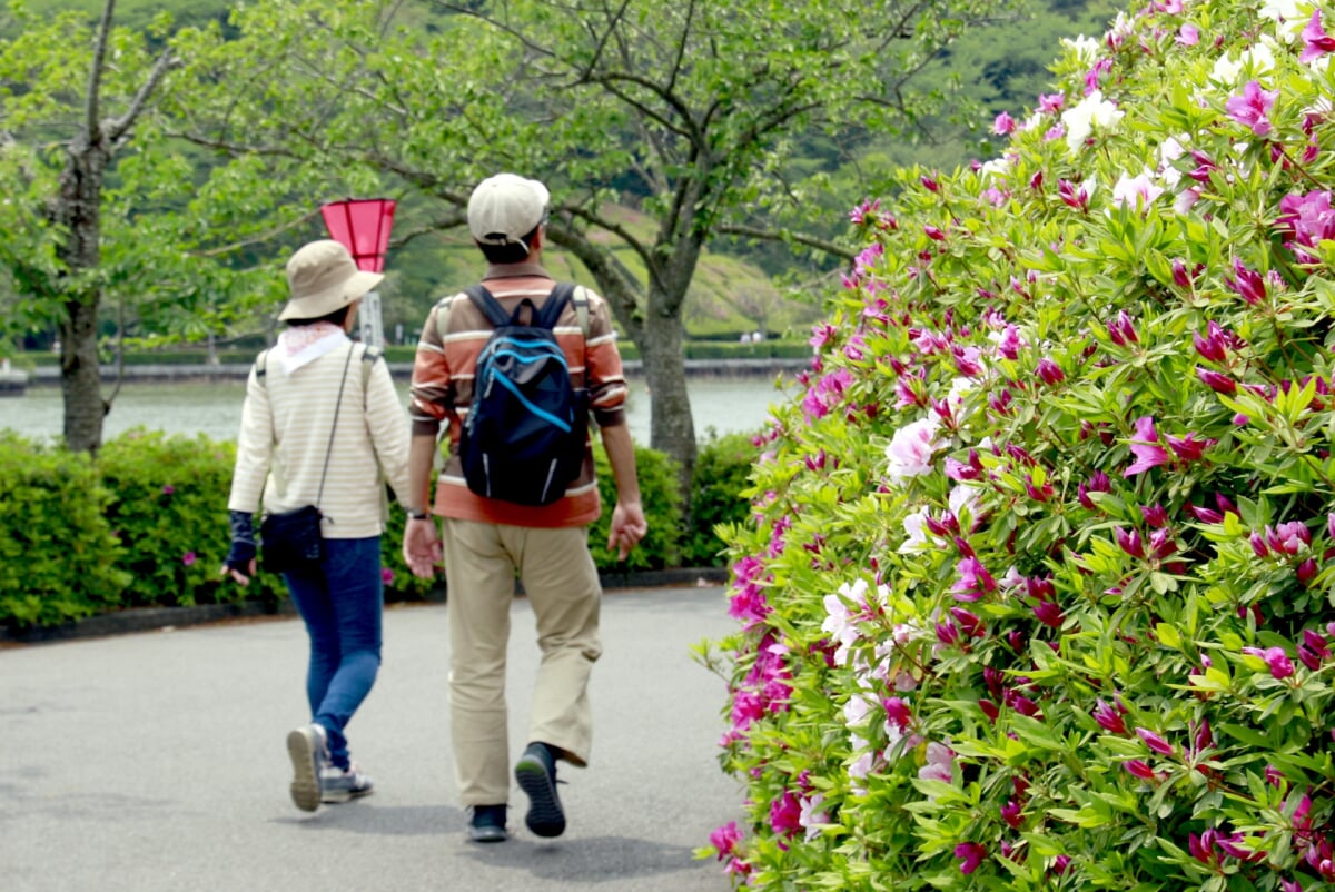蓮池公園の写真 