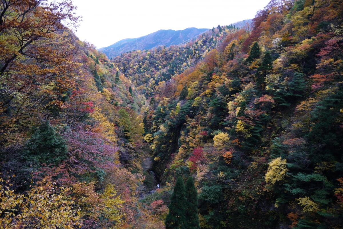 三滝渓の写真 