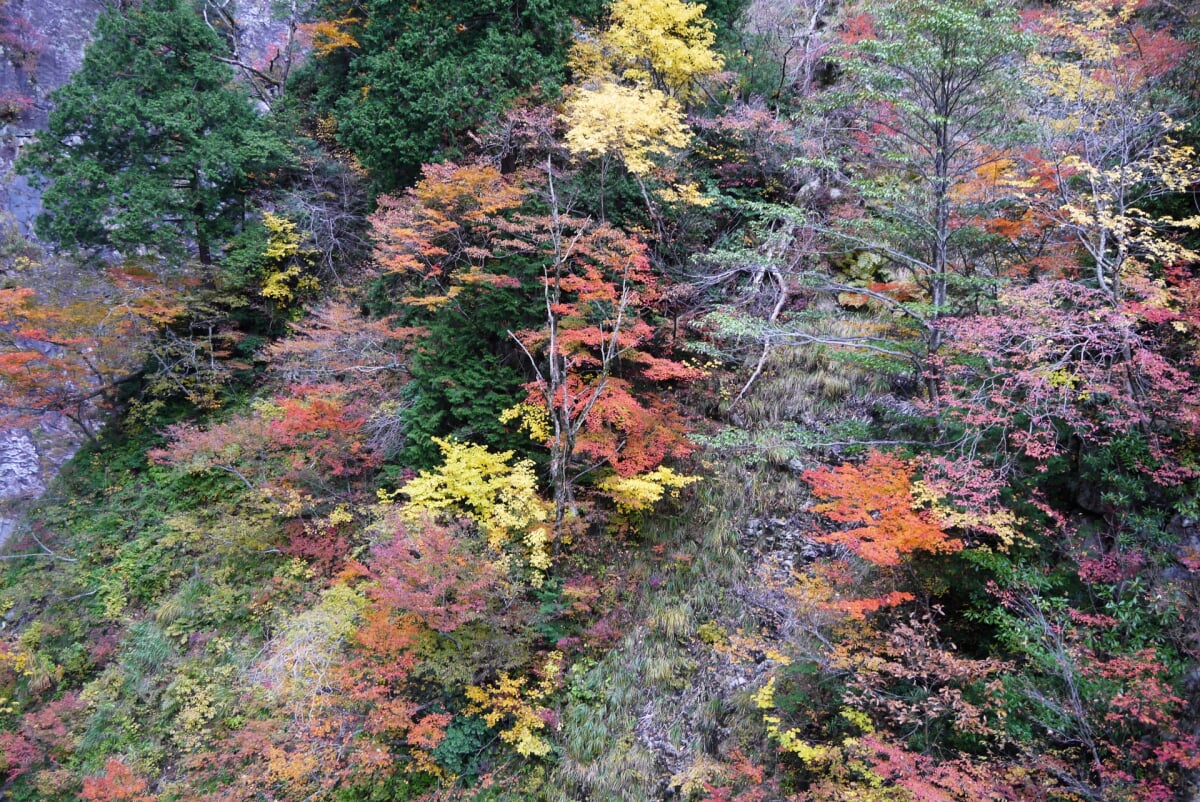 三滝渓の写真 