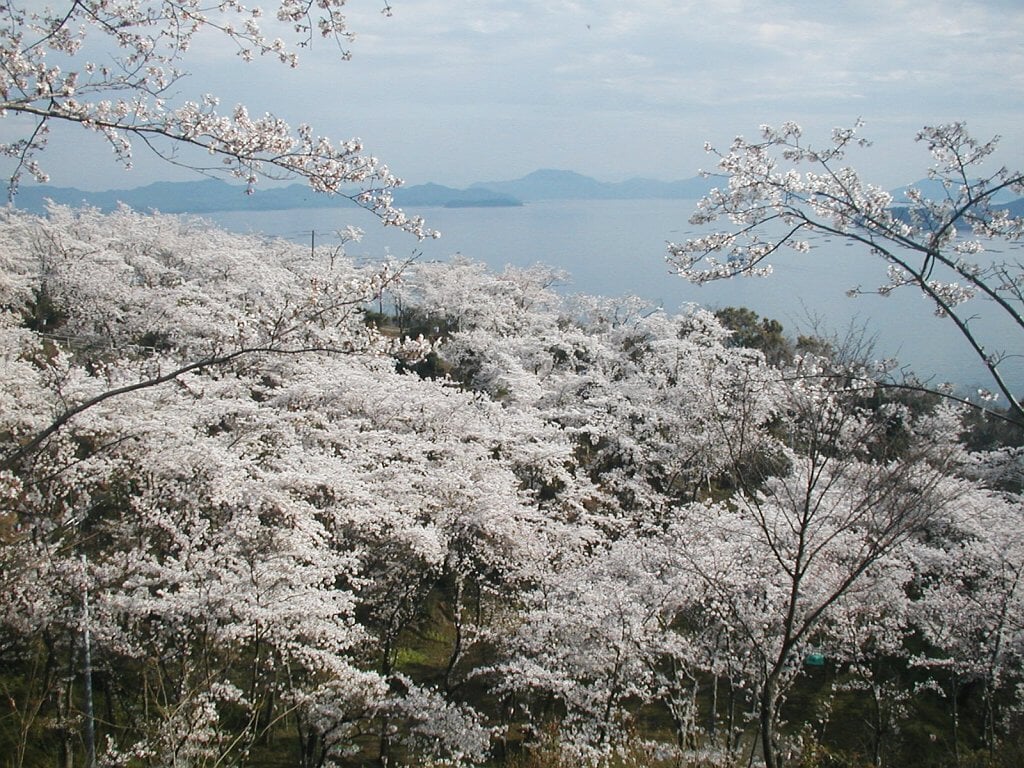 正福寺山公園の写真 ©Tillfirst Soilbackba…(CC BY 3.0)