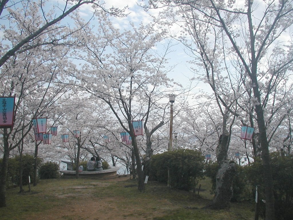 正福寺山公園の写真 ©Tillfirst Soilbackba…(CC BY 3.0)