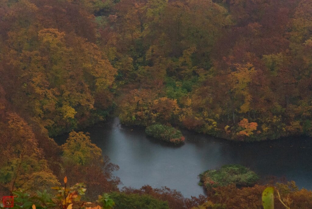 鶴間池の写真 ©zunsanzunsan(CC BY-SA 2.0)