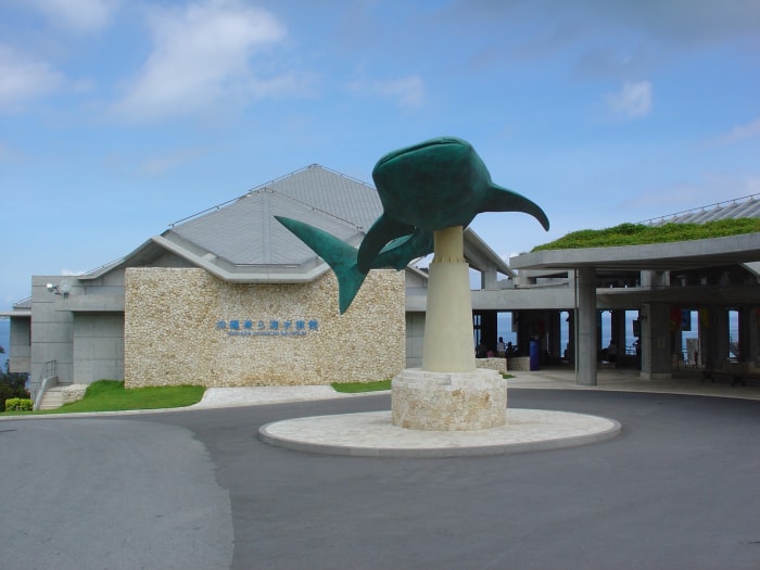沖縄美ら海水族館の写真 