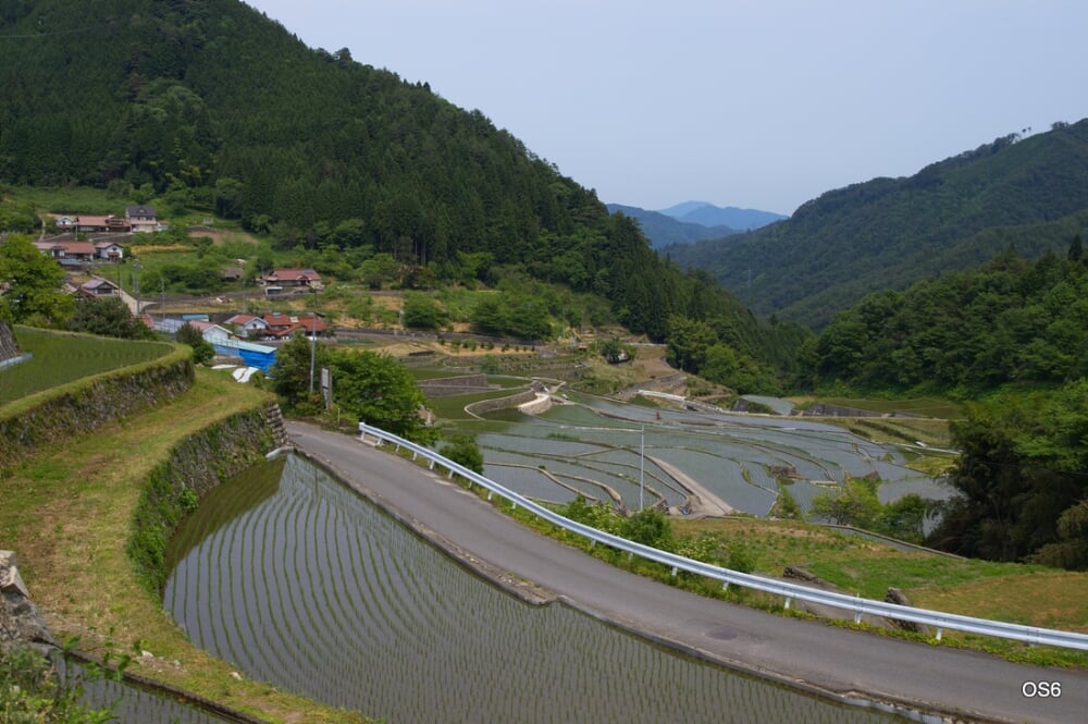 井仁の棚田の写真 ©OS6(CC BY-SA 3.0)
