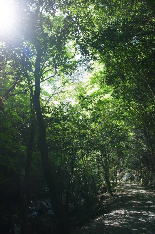 くらがり渓谷の写真 ©BONGURI(CC BY-ND 2.0)