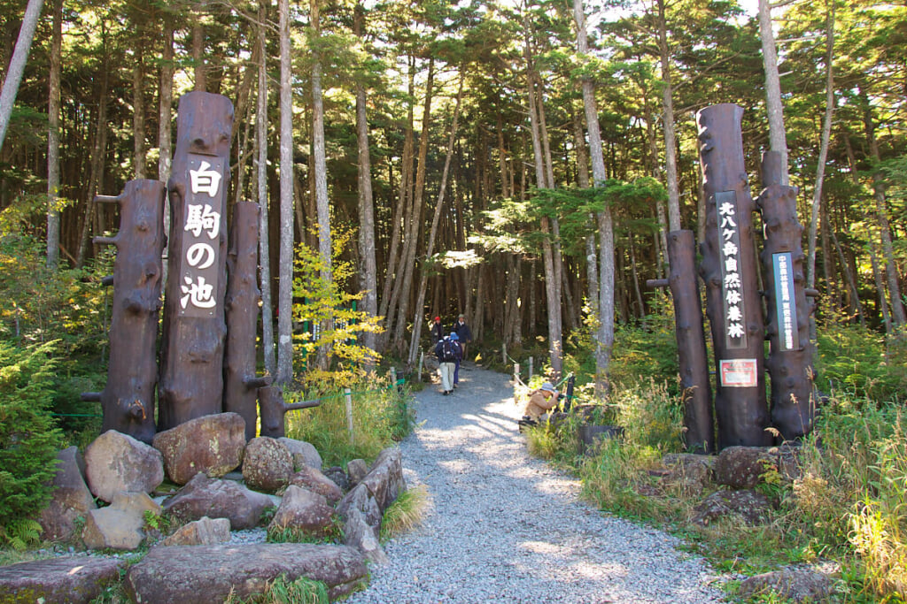 白駒の池の写真 ©Rs1421(CC BY-SA 3.0)