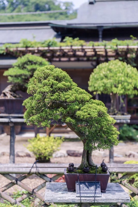 高尾駒木野庭園の写真 ©beve4(CC BY 2.0)
