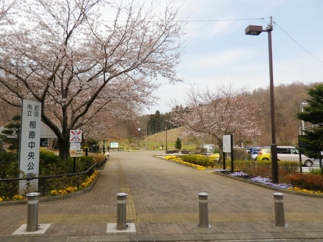 相原中央公園の写真 ©machiro(CC BY-SA 3.0)
