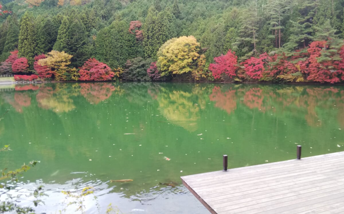 エコパ伊奈ヶ湖 伊奈ヶ湖の写真 