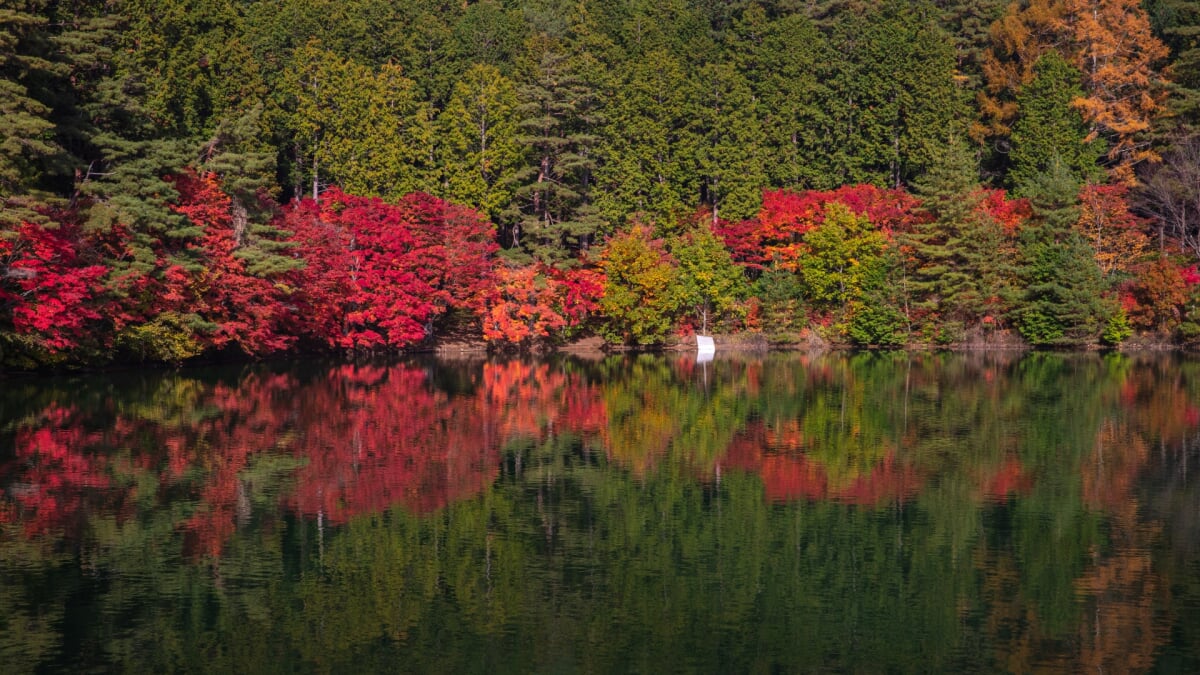 エコパ伊奈ヶ湖 伊奈ヶ湖の写真 