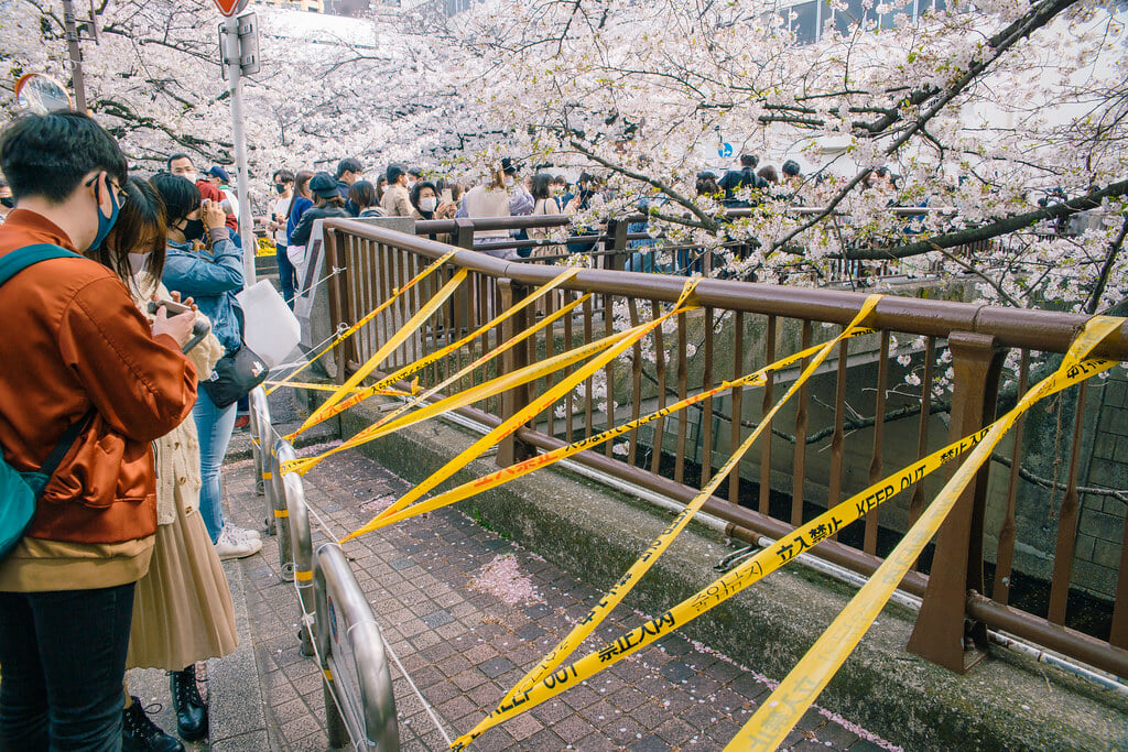 目黒川の写真 ©Dick+Thomas+Johnson(CC BY 2.0)