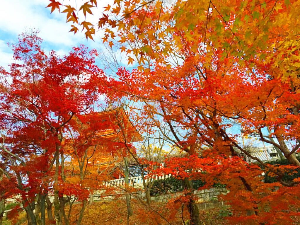 音羽山 清水寺の写真 ©Kanesue(CC BY 2.0)
