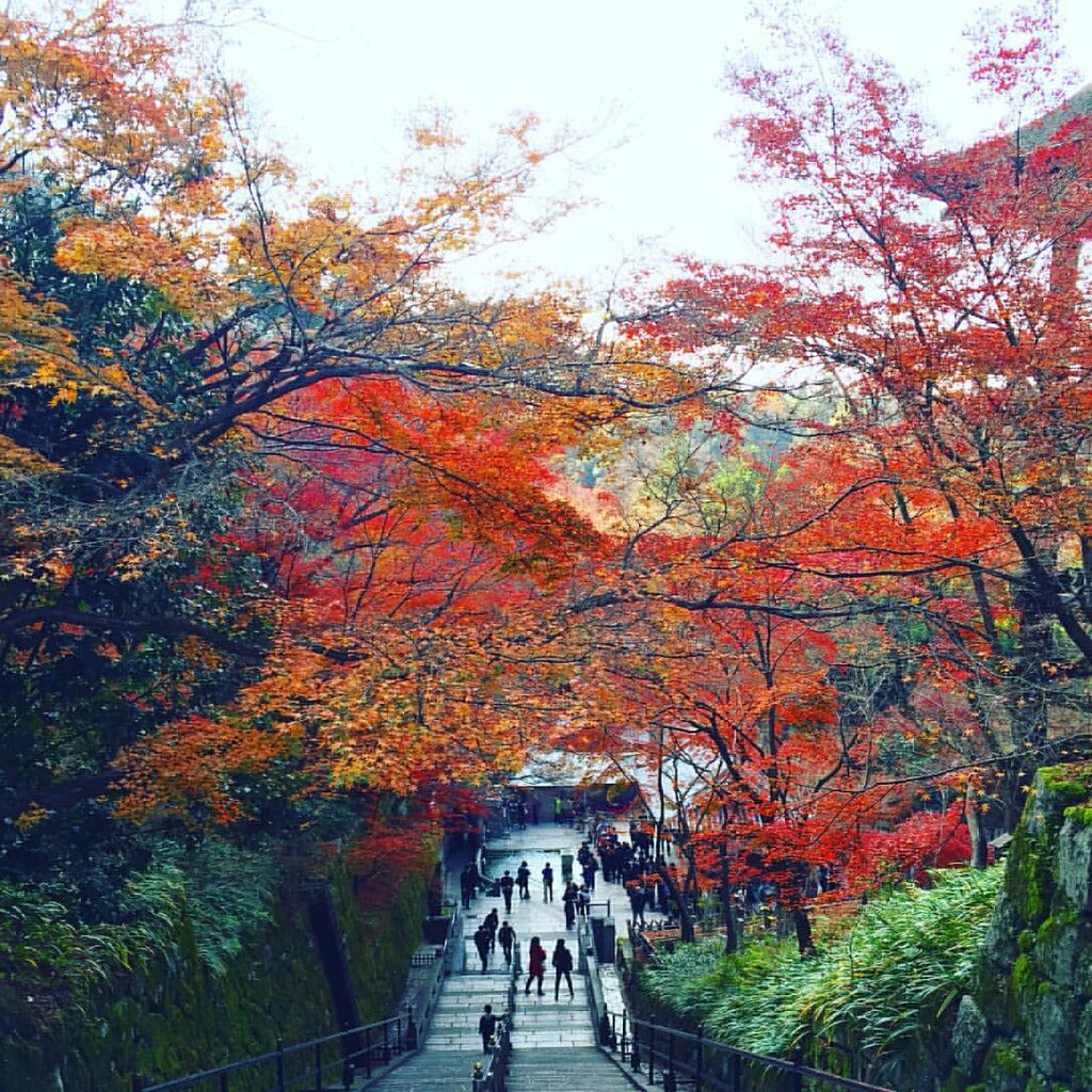 音羽山 清水寺の写真 ©Kanesue(CC BY 2.0)
