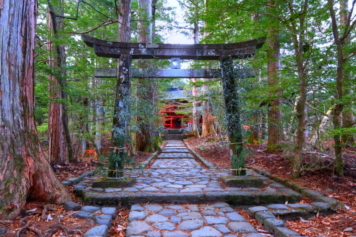滝尾神社の写真 ©Jranar(CC BY-SA 4.0)
