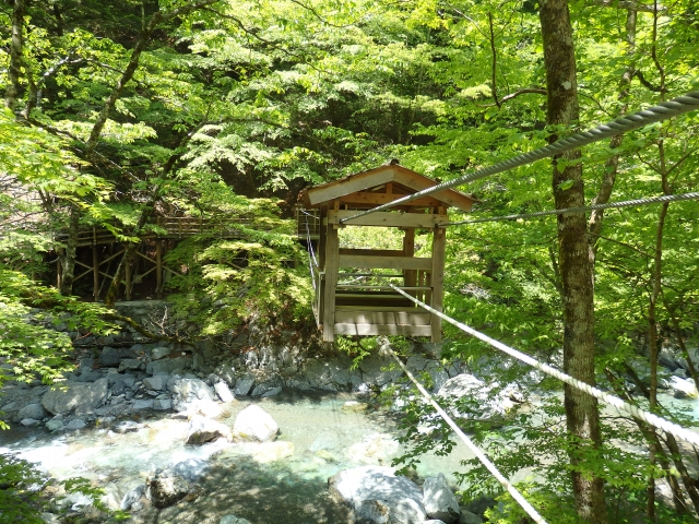 奥祖谷二重かずら橋・野猿の写真 
