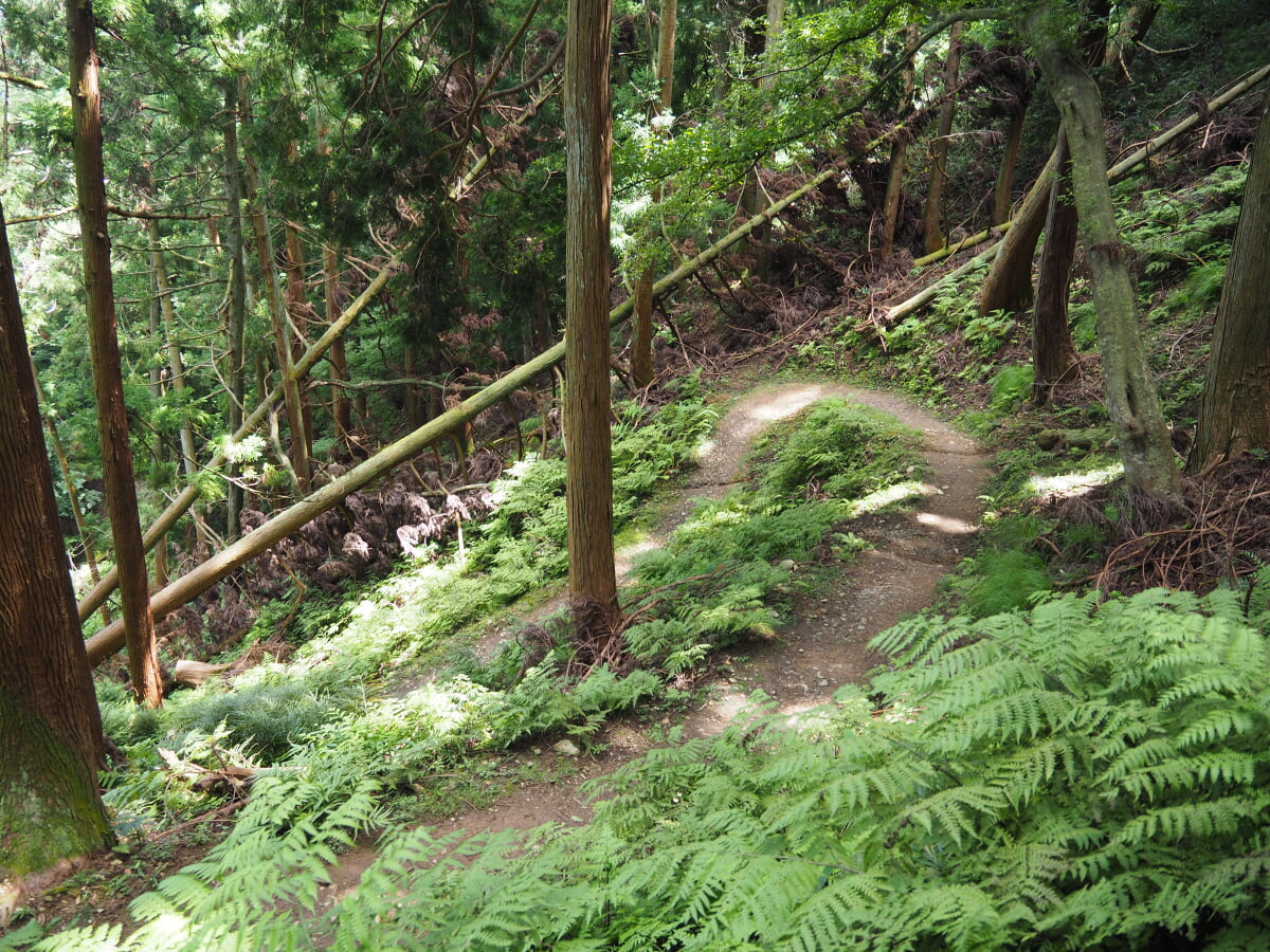 賤ヶ岳の写真 ©Motokoka(CC BY-SA 4.0)