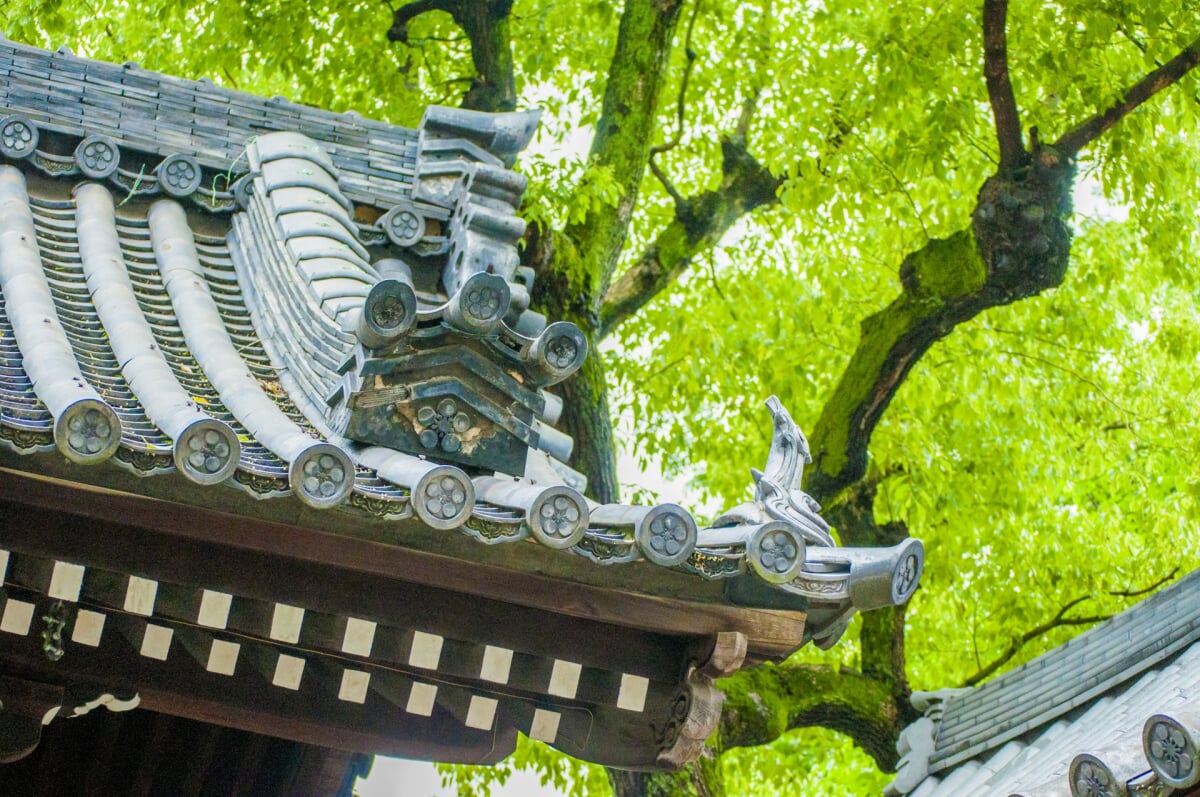 大阪天満宮の写真 