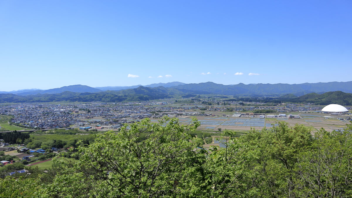 ニプロハチ公ドームの写真 ©Wc018(CC BY-SA 4.0)