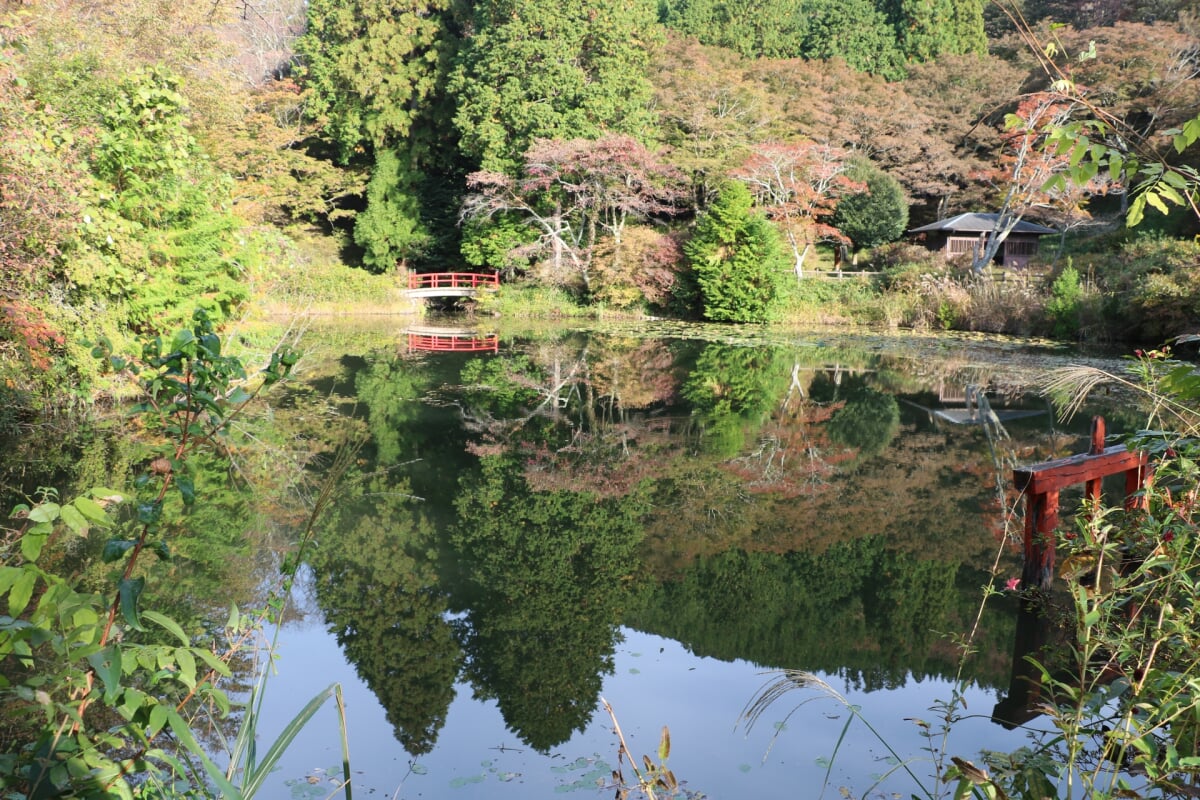 榛原鳥見山公園の写真 