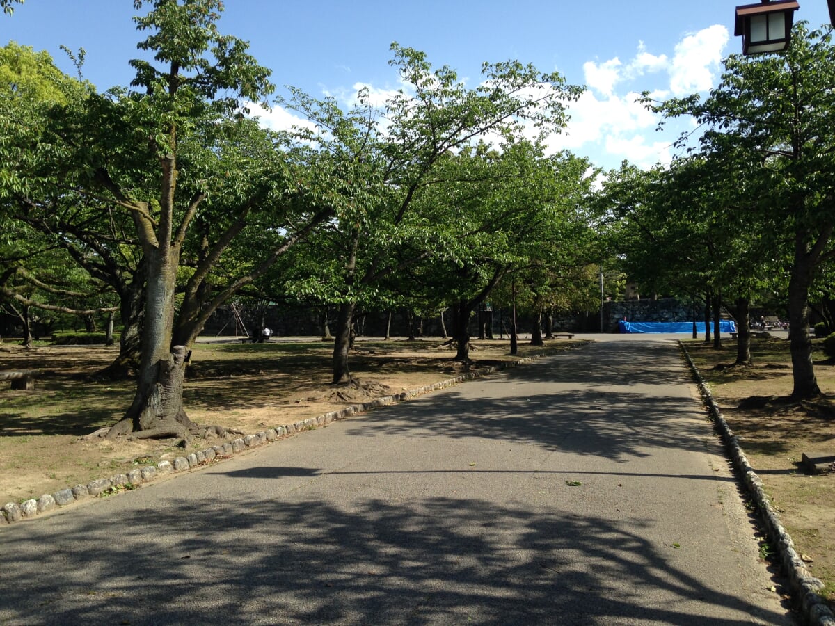 徳島中央公園の写真 ©そらみみ(CC BY-SA 4.0)
