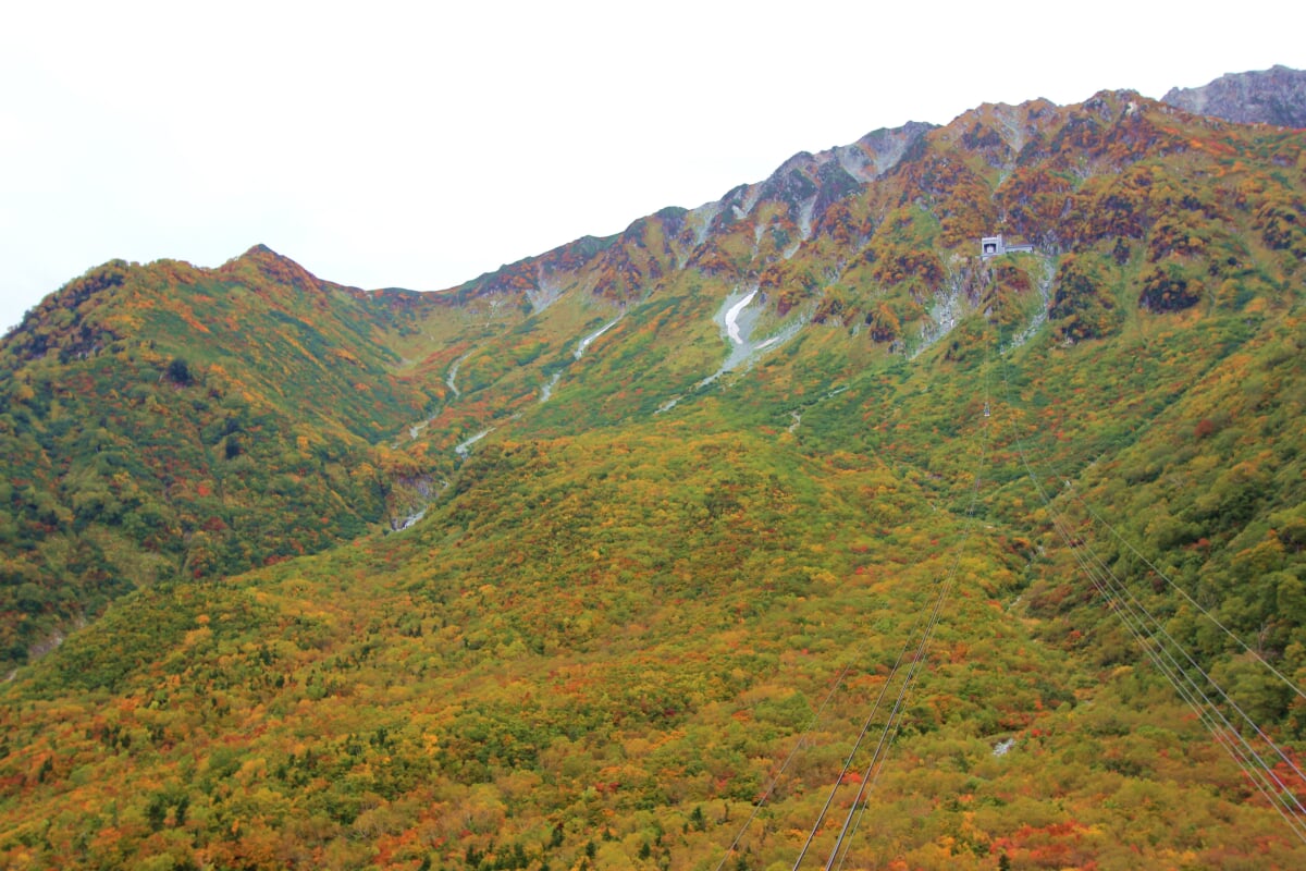 黒部平の写真 ©くろふね(CC BY 3.0)