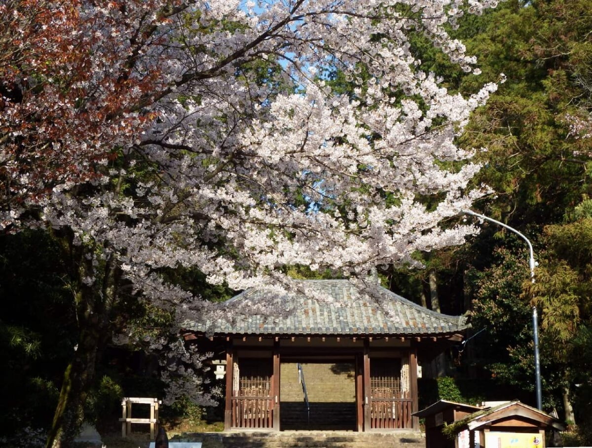 萩原寺の写真 ©Dokudami(CC BY-SA 4.0)