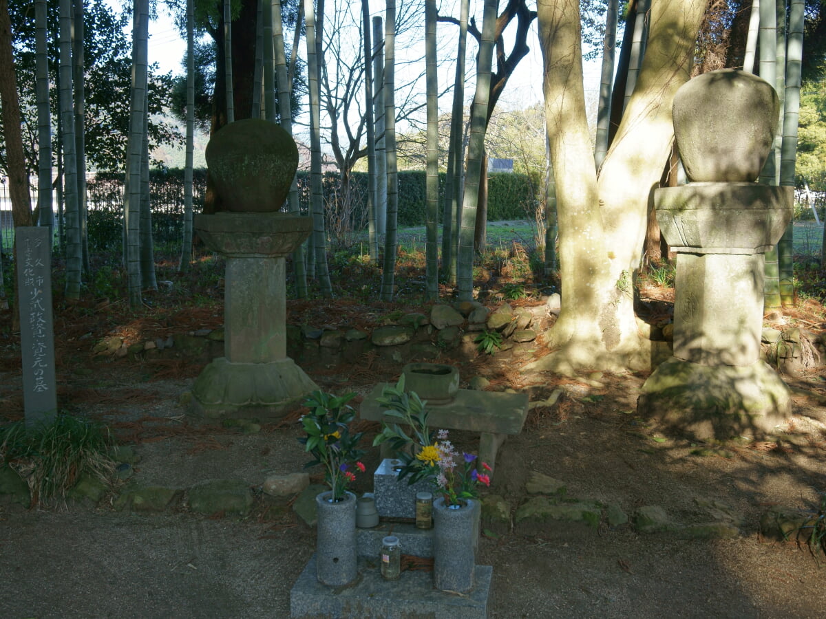 専称寺の写真 ©Peka(CC BY-SA 4.0)