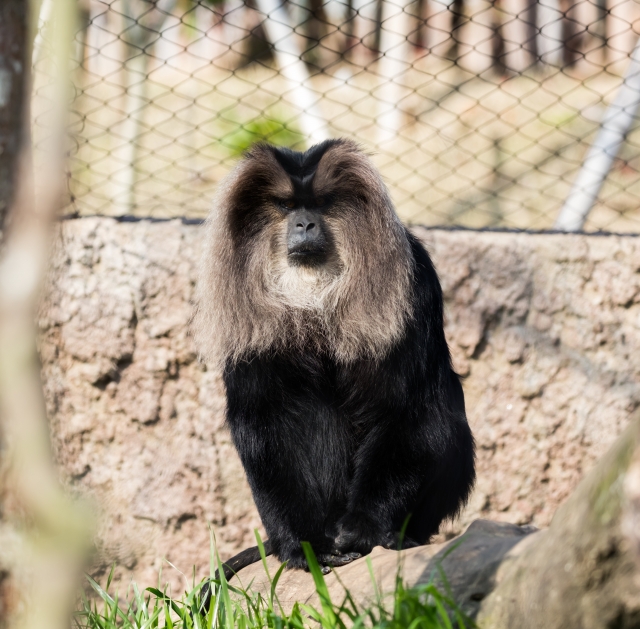 ときわ動物園の写真 