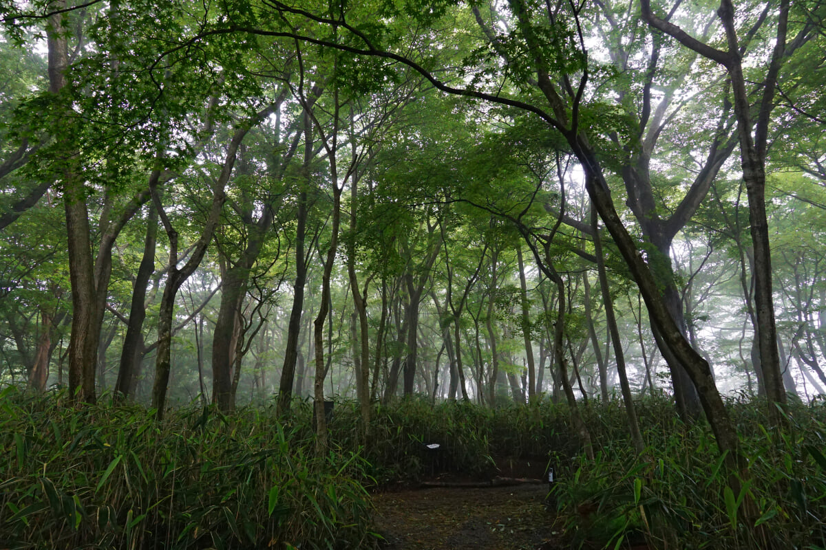 ニコライ バーグマン 箱根 ガーデンズ(NICOLAI BERGMANN HAKONE GARDENS)の写真 ©663highland(CC BY-SA 4.0)