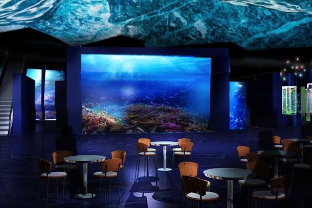 DMMかりゆし水族館の写真 