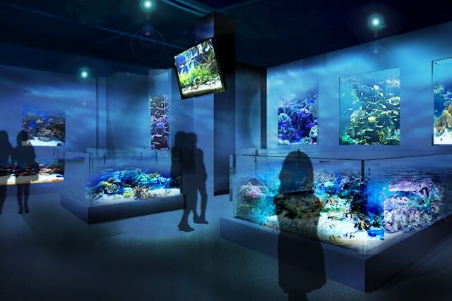 DMMかりゆし水族館の写真 