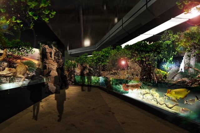 DMMかりゆし水族館の写真 