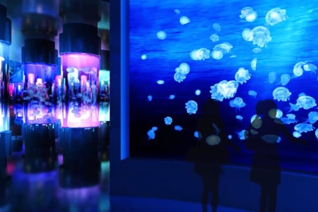 DMMかりゆし水族館の写真 