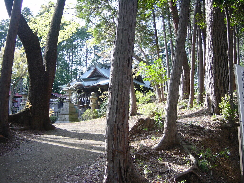トトロの森の写真 ©odysseygate(CC BY-SA 2.0)