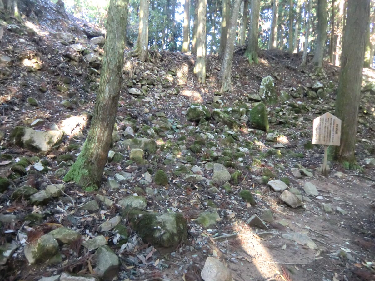 郡山城跡の写真 ©TT(CC BY-SA 3.0)